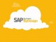 An Unconventional Approach From SAP To Score Industry Wins SAP Business ByDesign
