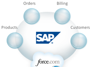 Salesforce.com’s venture into the platform play is fraught with challenges.